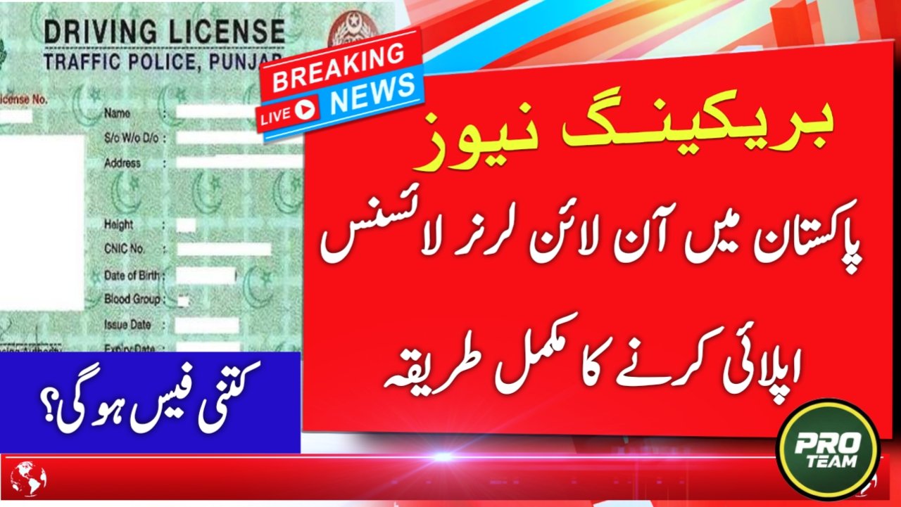 How to apply for learner driving license online Pakistan